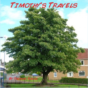 Timothy's Travels