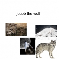 jacob the wolf