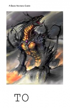 A Basic Novice Guide to Dragons; Volume 1