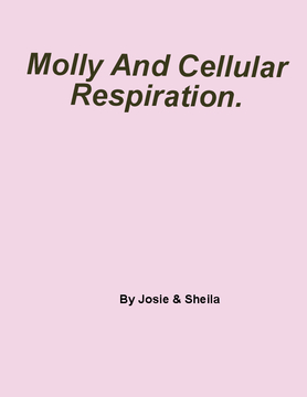 Molly And Cellular Respiration