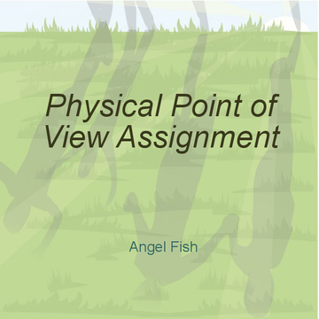 Physical Point of View