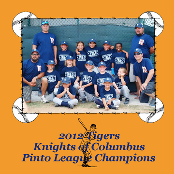 2012 Tigers