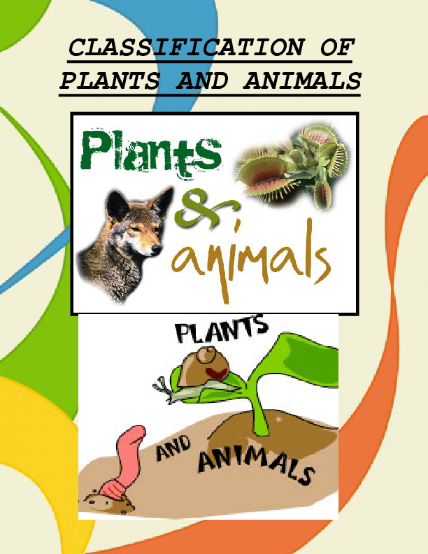 Classification Of Plants And Animals
