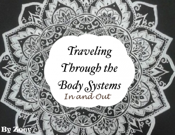 Traveling through the Body Systems