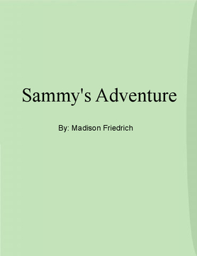 Sammy's Adventure