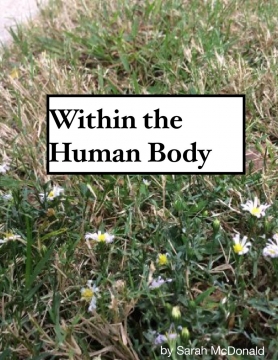Within the Human Body