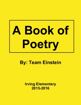 Team Einstein's poetry book