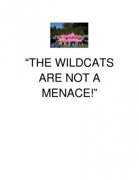 The Wildcats are not a Menace!
