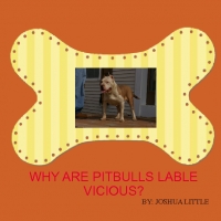 WY ARE PIT BULLS LABLE VICIOUS?