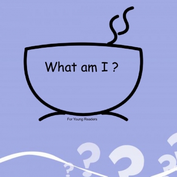 What am I ? 