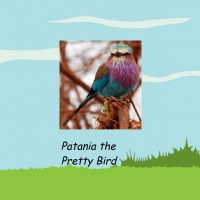 Patania the Pretty Bird