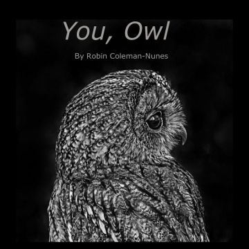 You, Owl