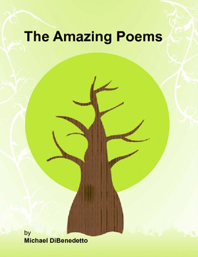 The Amazing Poems