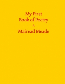 My 1st Book of Poetry