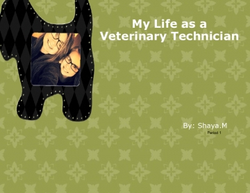 My life as a veterinarian
