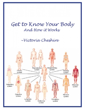 Getting to Know Your Body