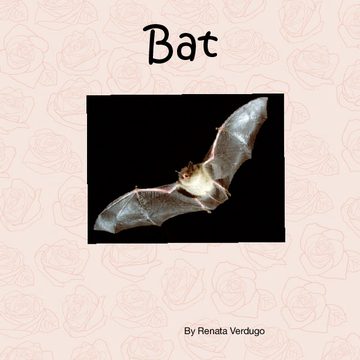 Bat poem