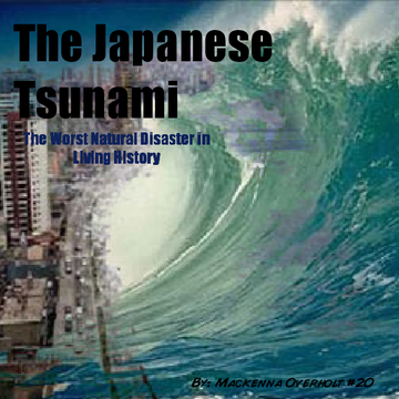 The Japanese Tsunami