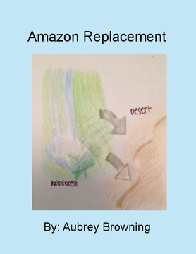 Amazon Replacement