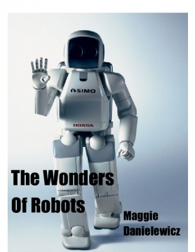 The Wonders Of Robots