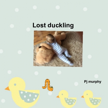 The little duck