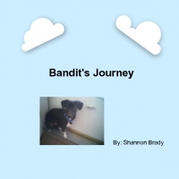 Bandit's Journey