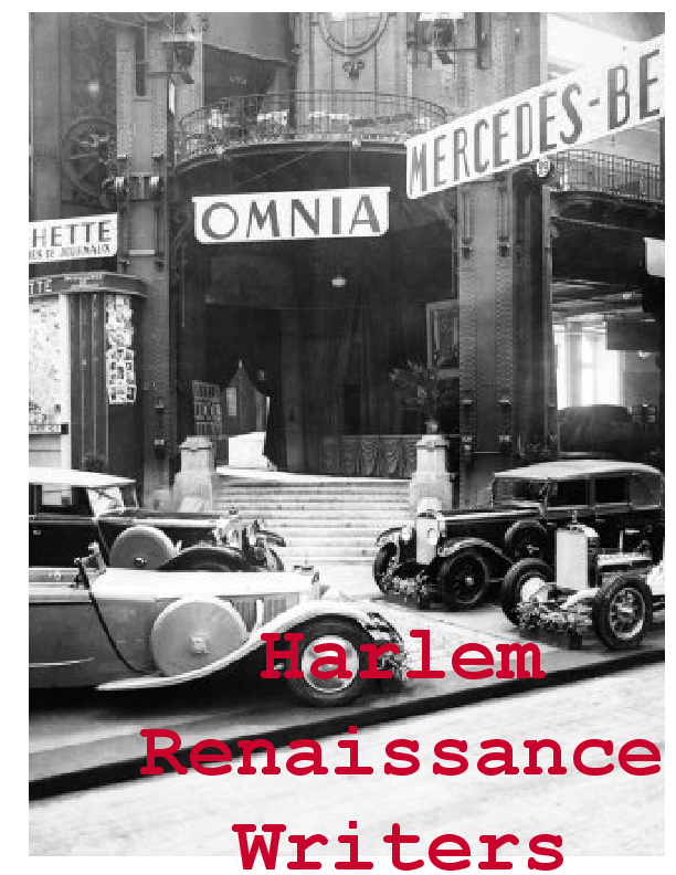 Harlem Renaissance Writers - Roaring Twe | Book 328940