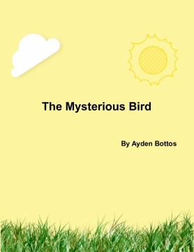The Mysterious Bird