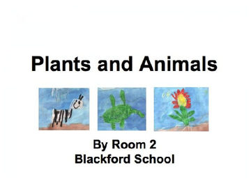 Plants and Animals