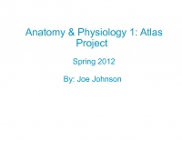 Anatomy & Physiology: A Photo Atlas