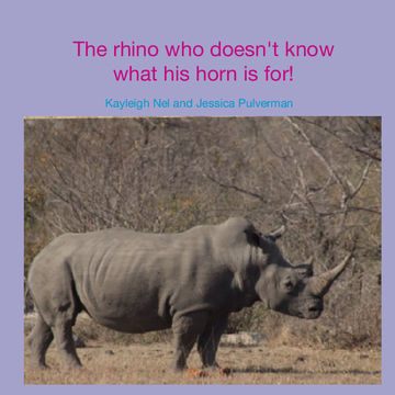 The rhino who doesn't know what his horn is for!