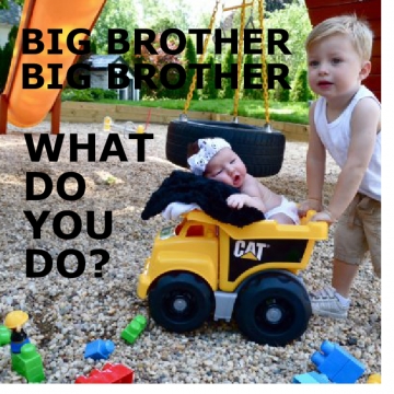 BIG BROTHER BIG BROTHER WHAT DO YOU DO?
