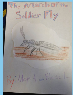 March Of The Soldier Fly