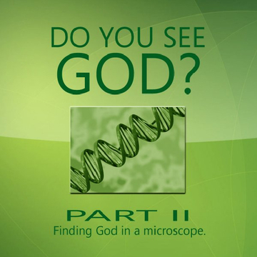 Do You See God? Part II