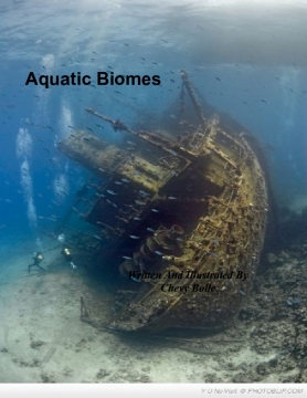 Aquatic Biome