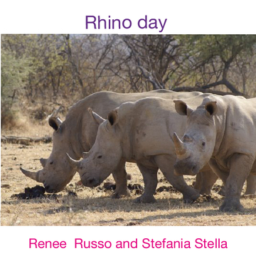 Rhino day