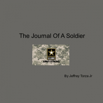 The Journal Of A Soldier