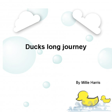 Ducks long journey