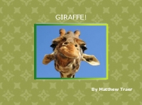 The Giraffe