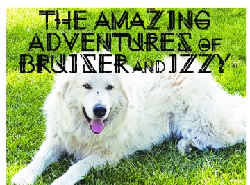 The Amazing Adventures of Bruiser and Izzy