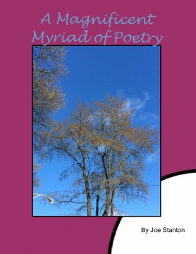 A Magnificent Myriad of Wonderful Works of Poetry