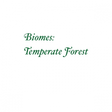 Biomes: Temperate Forest