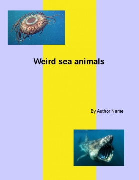 Weird sea animals