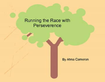 Running the Race with Perseverence