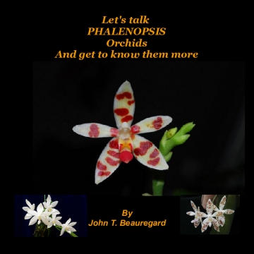 Let's talk Phalenopsis Orchids