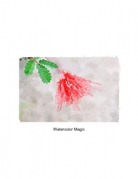 Watercolor Magic