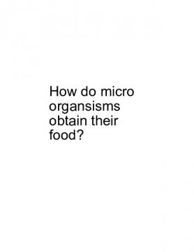 How micro-organisms obtain their food?