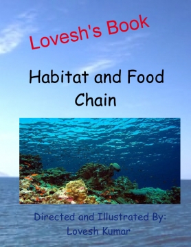 Habitats and Food Chain