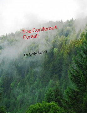 The Coniferous