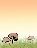 *